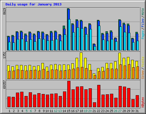 Daily usage for January 2013
