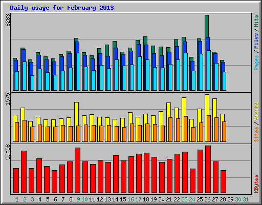 Daily usage for February 2013