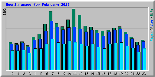 Hourly usage for February 2013
