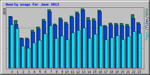 Hourly usage for June 2013